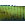 Tiki Tube Green Pumpkin Chartreuse