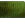 Tiki Stick Laminated & Swirl Green pumpkin Chartreuse